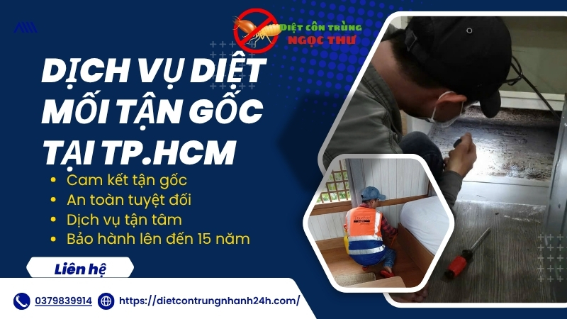 Dịch vụ diệt mối tphcm, diệt tận gốc, bảo hành lâu dài