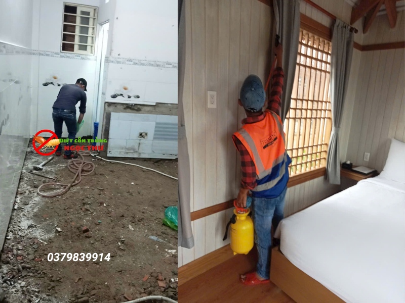 dich vu diet moi tphcm 1