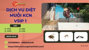 Dịch vụ diệt muỗi kcn vsip 1