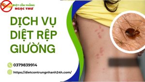 Dịch vụ diệt rệp giường