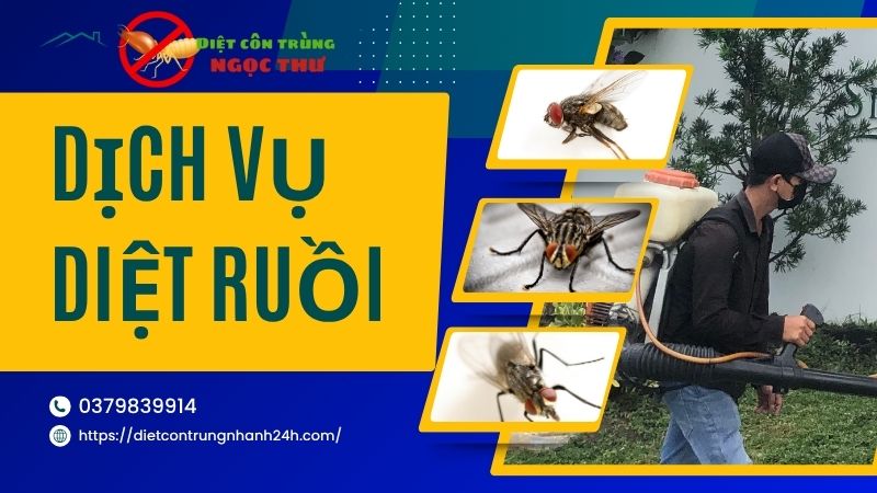 Dịch vụ diệt ruồi
