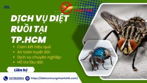 Dịch vụ diệt ruồi tại tphcm