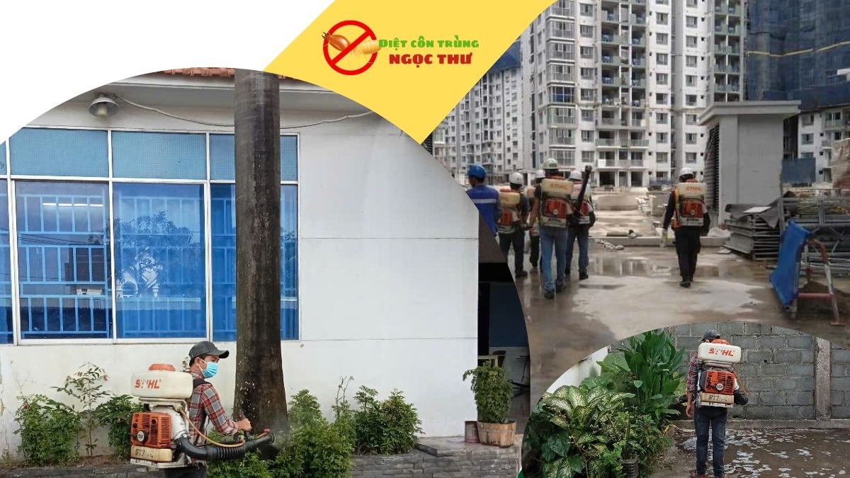 Dịch vụ diệt ruồi tại hcm