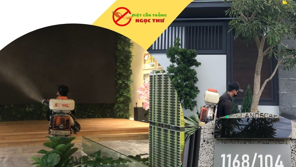 Dịch vụ diệt muỗi tại hcm