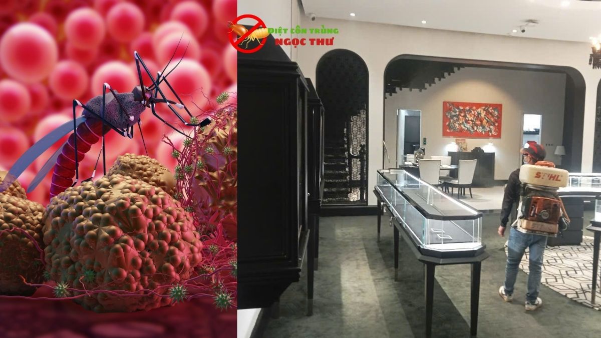 Dịch vụ phun khử trùng tphcm giá rẻ