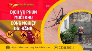 Dịch vụ phun muỗi kcn đại đăng bình dương