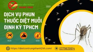 Dịch vụ phun thuốc diệt muỗi định kỳ tphcm