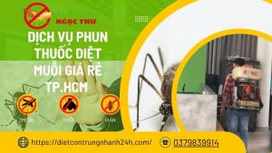 Dịch vụ phun thuốc diệt muỗi giá rẻ tphcm năm 2025