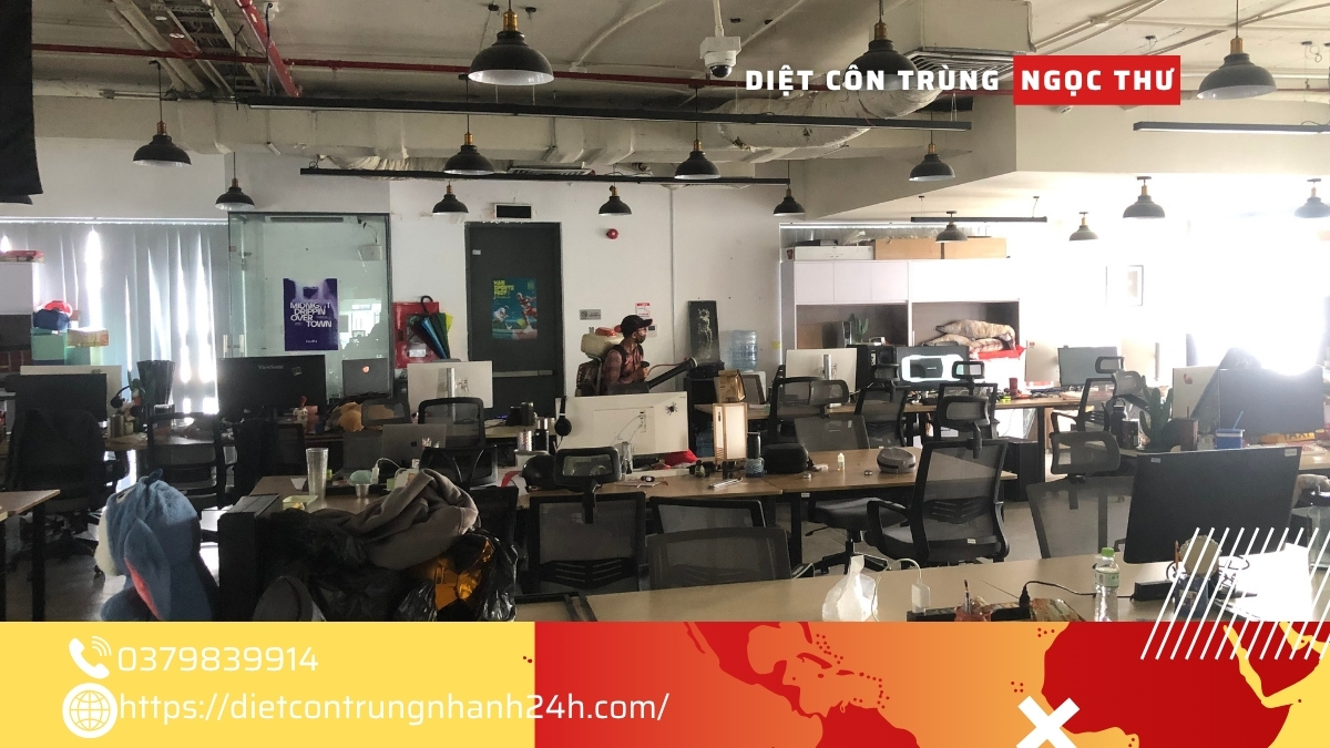 Dịch vụ phun thuốc diệt muỗi giá rẻ TPHCM 2025 1 Dịch vụ phun thuốc diệt muỗi giá rẻ tại TPHCM 2025