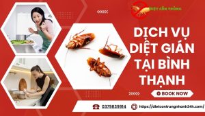 Dịch vụ diệt gián tại quận bình thạnh, tphcm