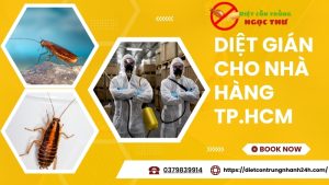Diệt gián cho nhà hàng tphcm