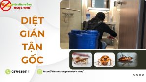 Diệt gián tận gốc tphcm