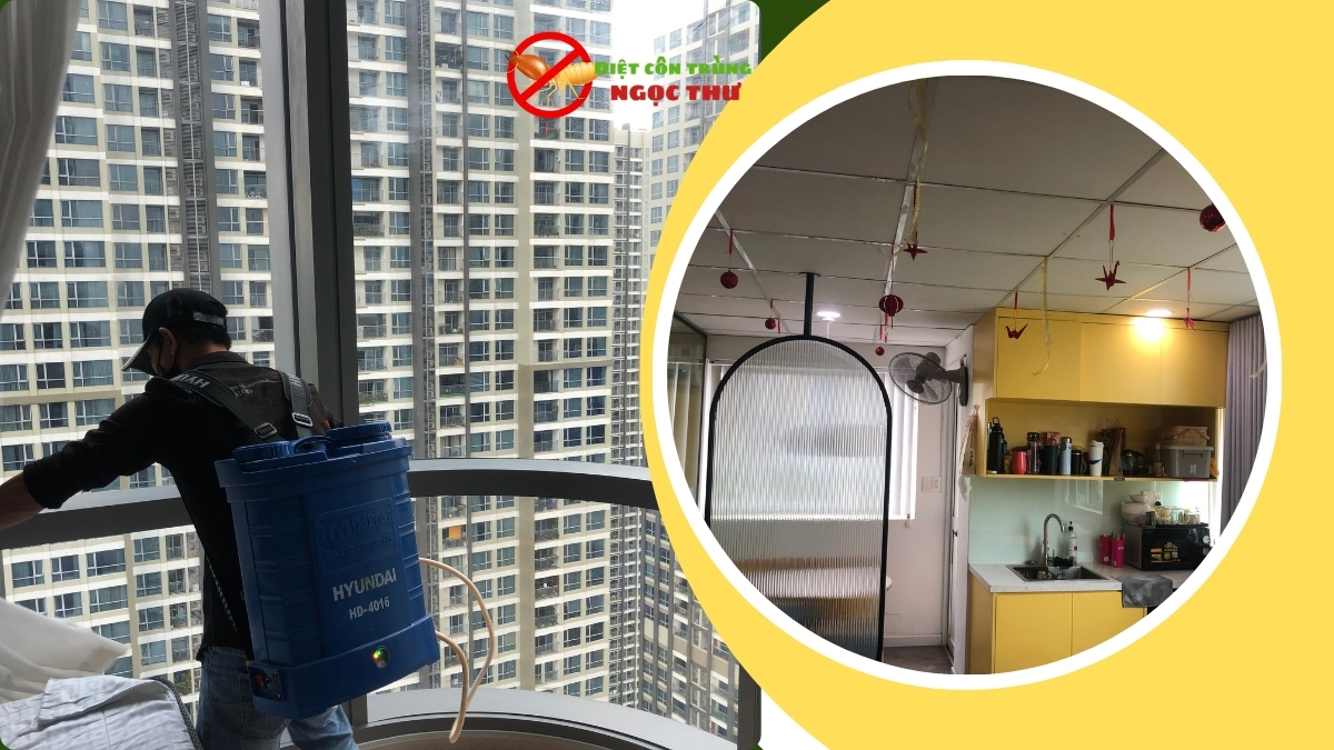 Diệt Mối Tận Gốc TPHCM - CAM KẾT KHÔNG CÒN MỐI 3 Diệt mối tận gốc tphcm giá rẻ