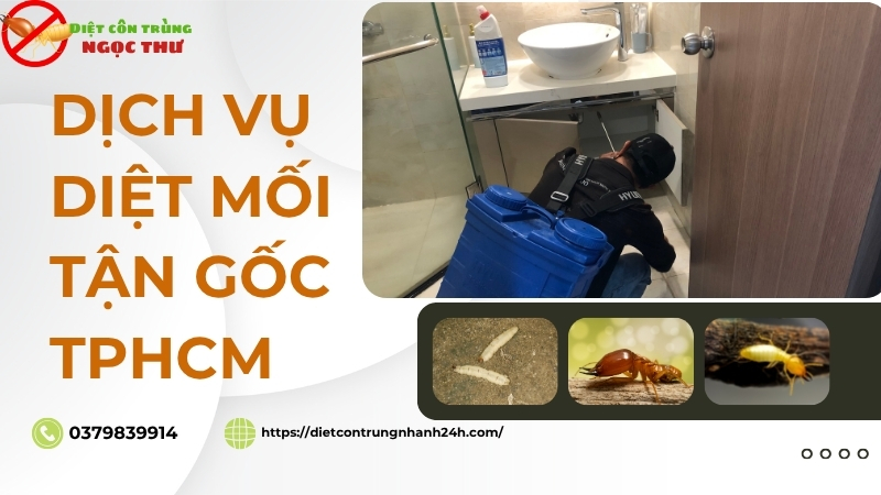 Diệt Mối Tận Gốc TPHCM - CAM KẾT KHÔNG CÒN MỐI 1 Dịch vụ diệt mối tận gốc tphcm