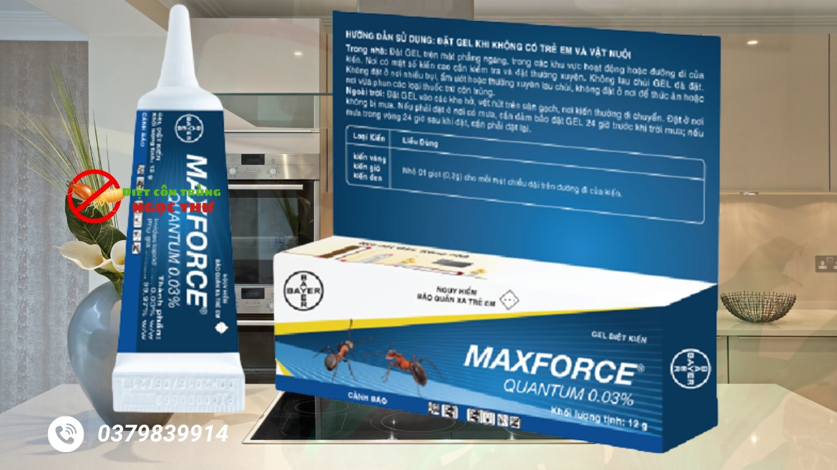 Gel diệt gián Maxforce