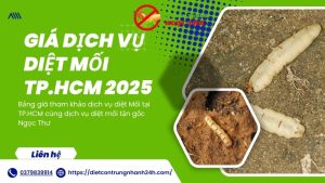 Bảng giá dịch vụ diệt mối tại TPHCM năm 2025
