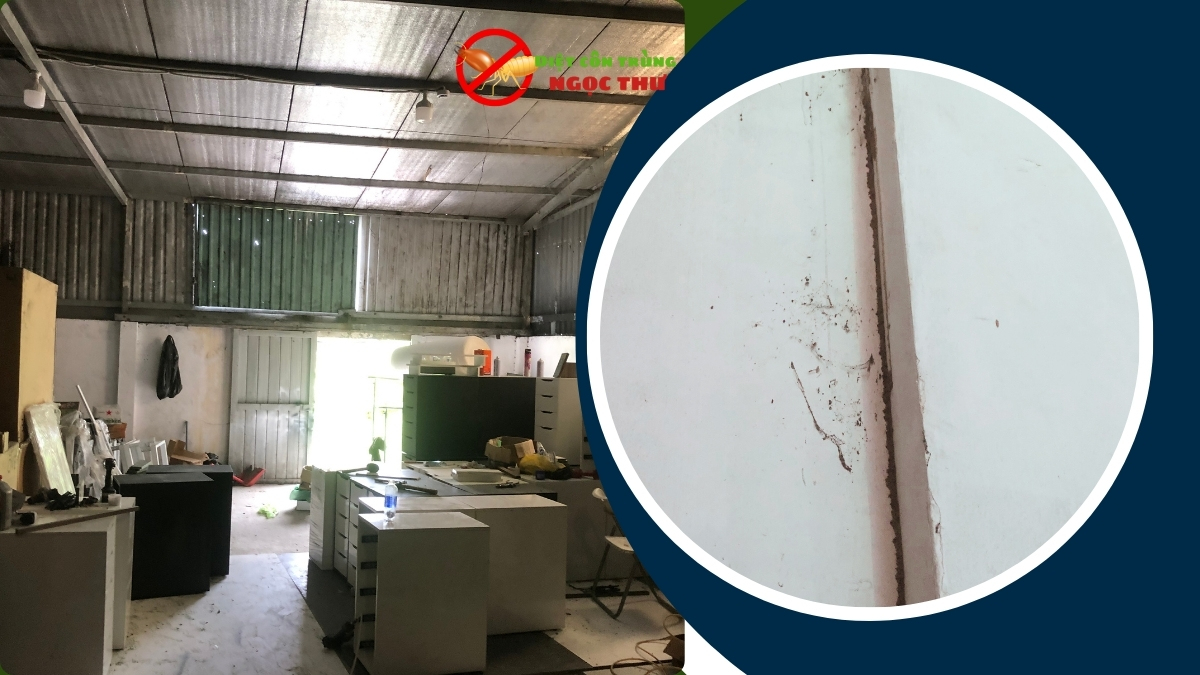 Bảng Giá Dịch Vụ Diệt Mối TPHCM 2025: Bảng Giá Chi Tiết & Giải Pháp Tận Gốc 2 Bảng Giá dịch vụ diệt mối tại tphcm mới nhất năm 2025