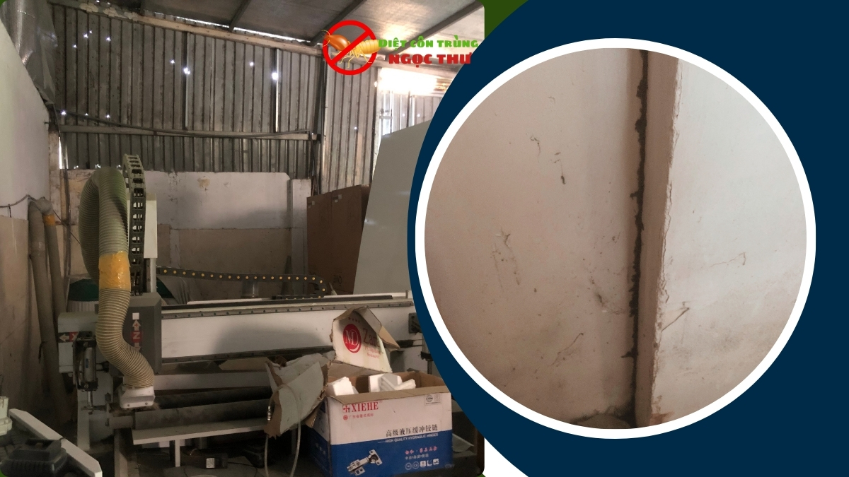 Bảng Giá Dịch Vụ Diệt Mối TPHCM 2025: Bảng Giá Chi Tiết & Giải Pháp Tận Gốc 3 Bảng Giá dịch vụ diệt mối tại tphcm mới nhất năm 2025 giành cho bạn