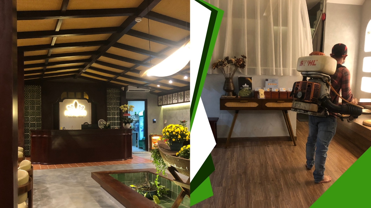 Giá Phun Thuốc Muỗi Tại TPHCM 1 Giá phun thuốc muỗi tại tphcm