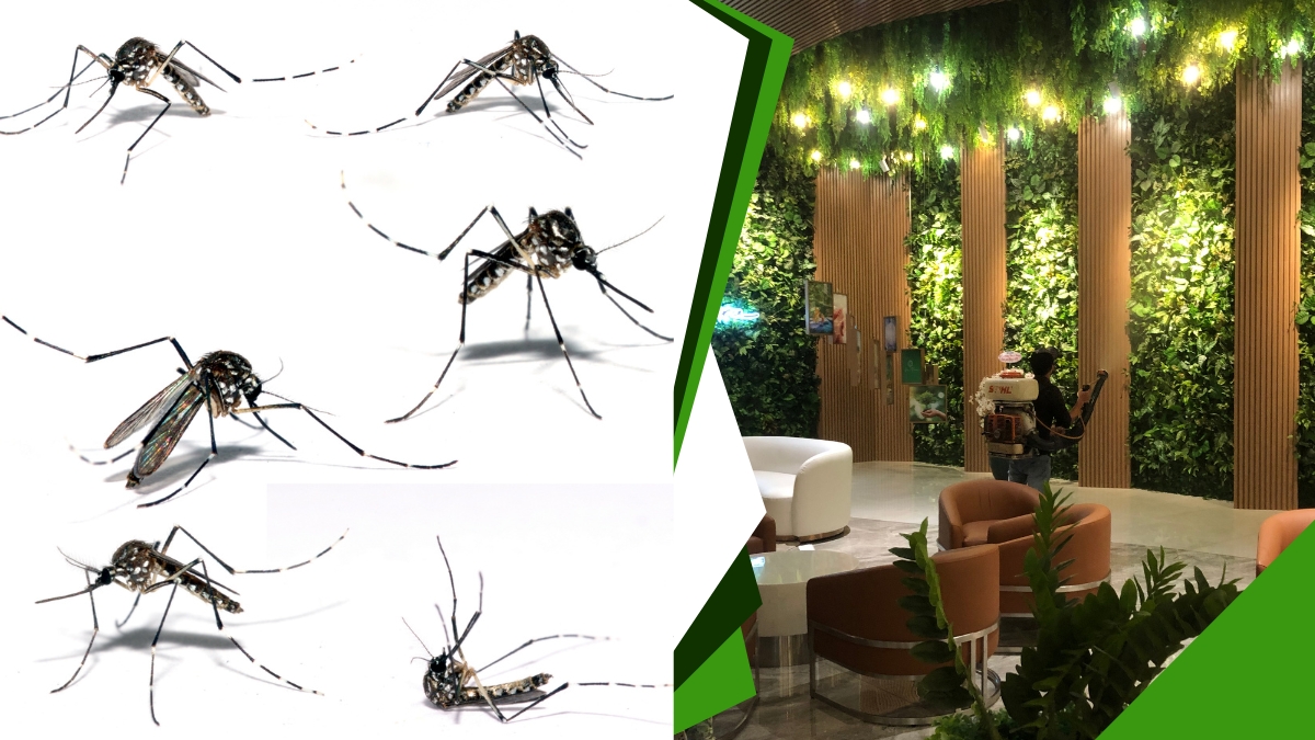 Giá Phun Thuốc Muỗi Tại TPHCM 2 Bảng Giá phun thuốc muỗi tại tphcm