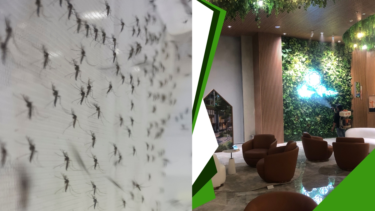 Giá Phun Thuốc Muỗi Tại TPHCM 3 Bảng Giá phun thuốc muỗi tại tphcm 2025