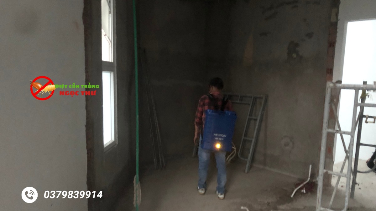 Phòng chống mối TPHCM