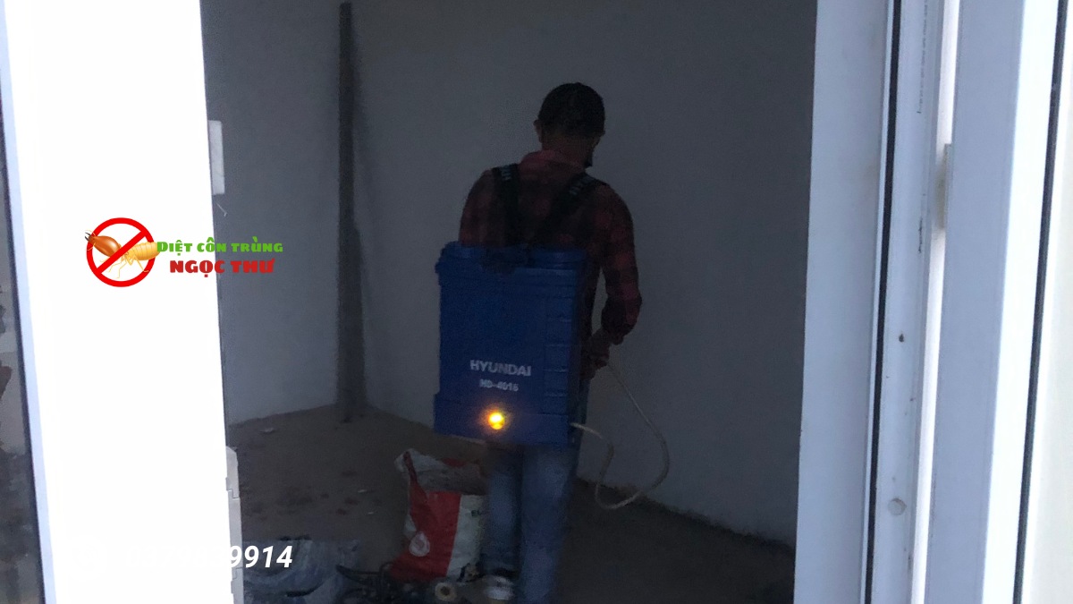 Phòng chống mối cho công trình TPHCM