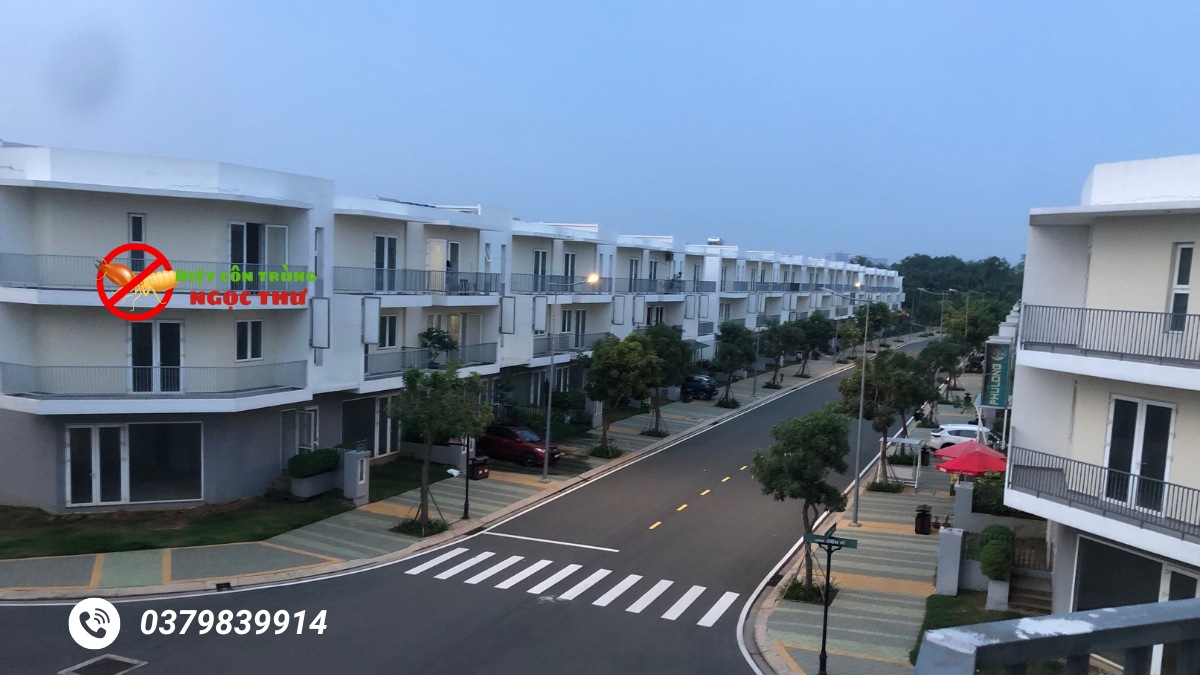 Dịch vụ Phòng chống mối cho công trình TPHCM