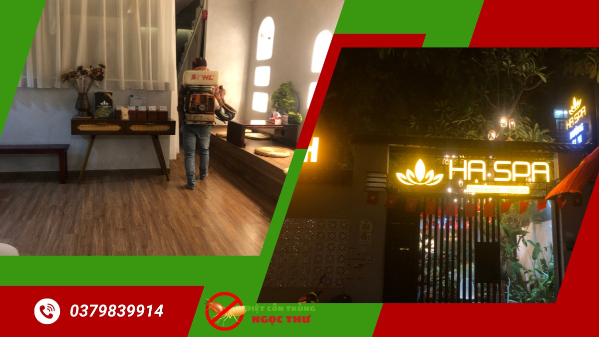 Phun Thuốc Diệt Muỗi Quận 1 【 Xua Tan Muỗi】 1 Phun thuốc diệt muỗi quận 1