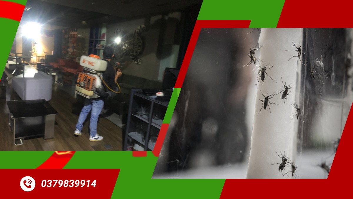 Phun Thuốc Diệt Muỗi Quận 1 【 Xua Tan Muỗi】 2 Phun thuốc diệt muỗi quận 1 chuyên nghiệp