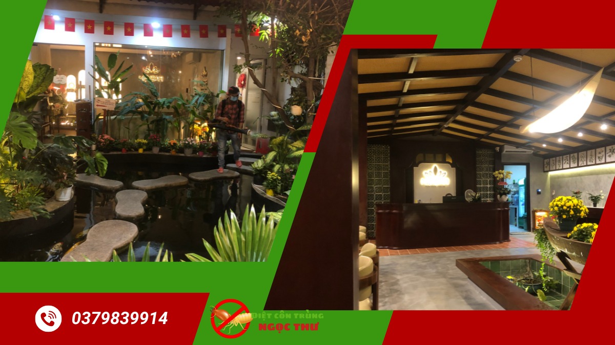 Phun Thuốc Diệt Muỗi Quận 1 【 Xua Tan Muỗi】 3 Phun thuốc diệt muỗi quận 1 an toàn