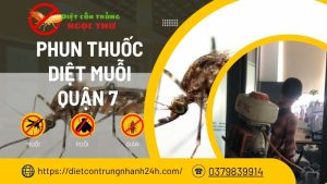 Dịch vụ phun thuốc diệt muỗi tại quận 7, tphcm