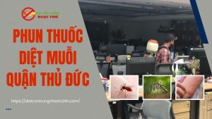 Dịch vụ phun thuốc diệt muỗi quận Thủ Đức