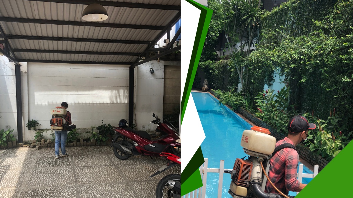 Dịch vụ phun thuốc diệt muỗi quận thủ đức 