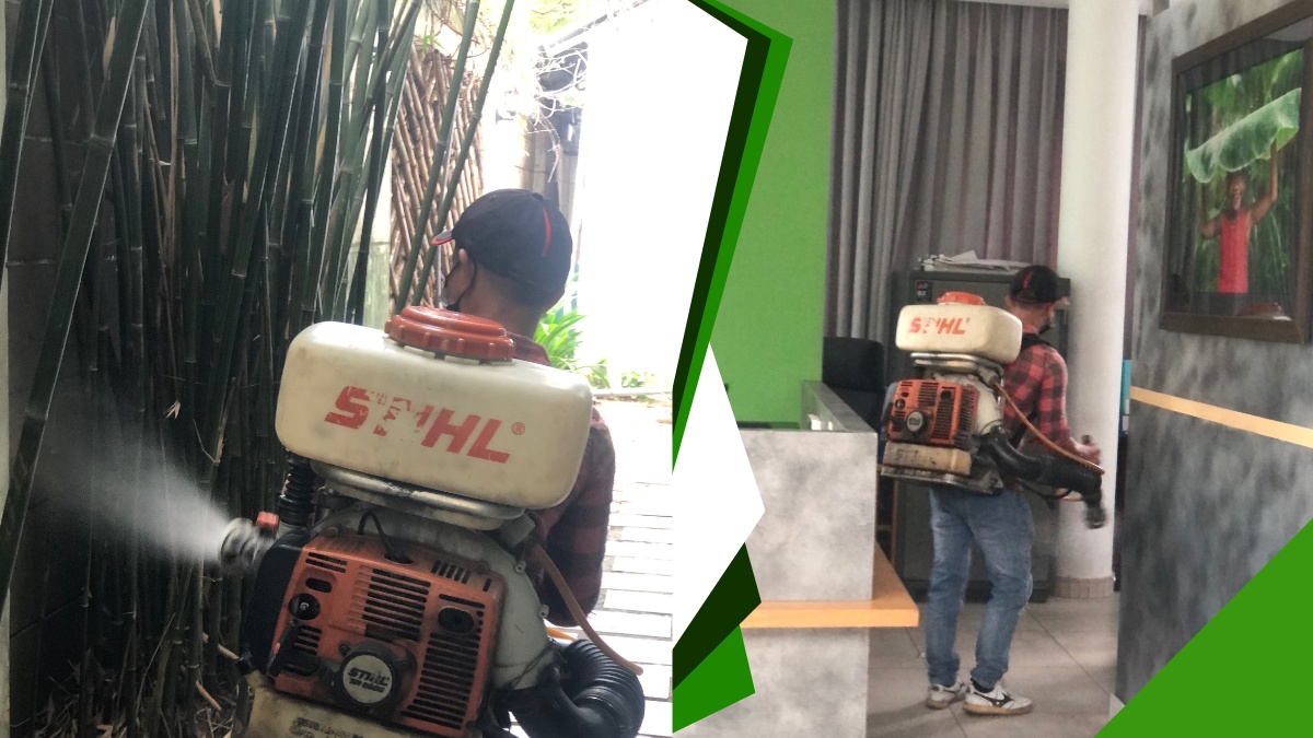 Dịch vụ phun thuốc diệt muỗi quận thủ đức giá rẻ