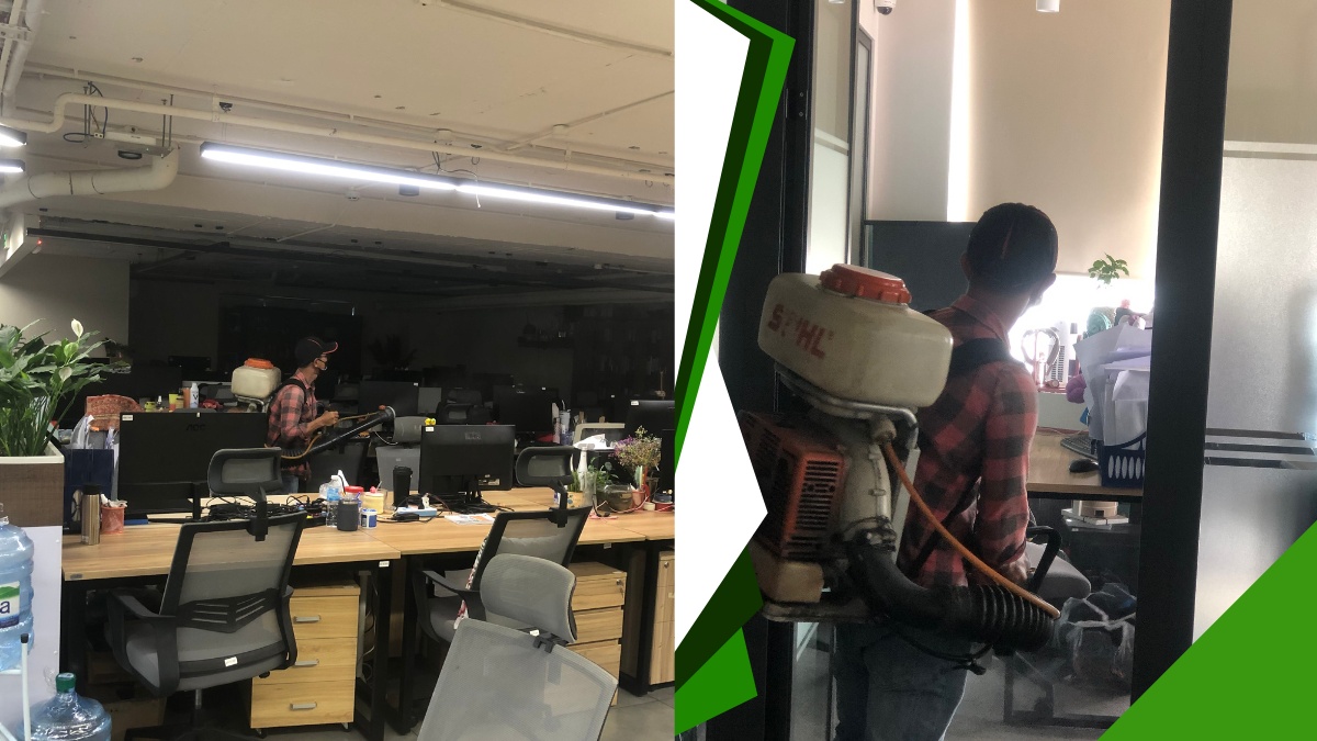 Dịch vụ phun thuốc diệt muỗi tại quận thủ đức chuyên nghiệp