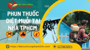 Dịch vụ phun thuốc diệt muỗi tại nhà tphcm