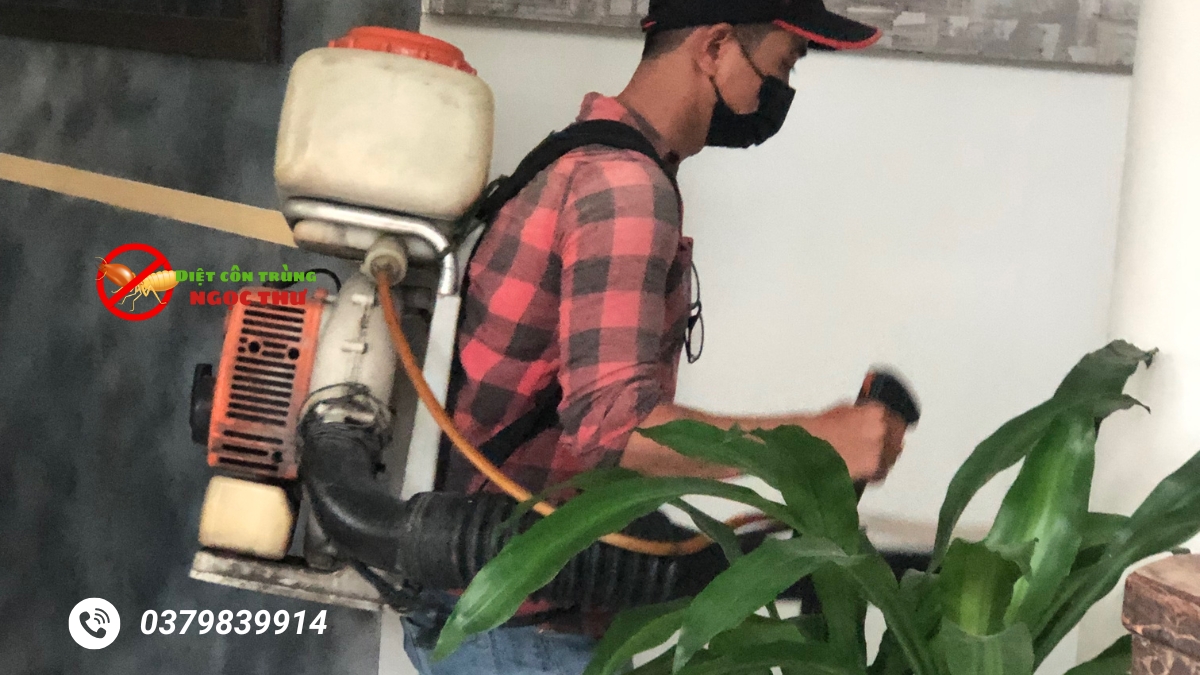 Dịch vụ phun thuốc diệt muỗi tại nhà tphcm an toàn