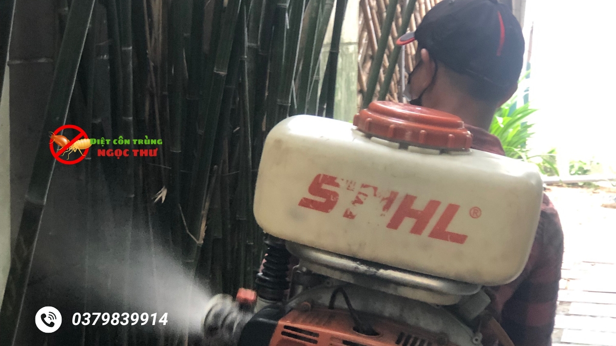 phun thuốc diệt muỗi tại nhà tphcm giá rẻ nhất thị trường