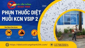 phun thuốc muỗi kcn vsip 2