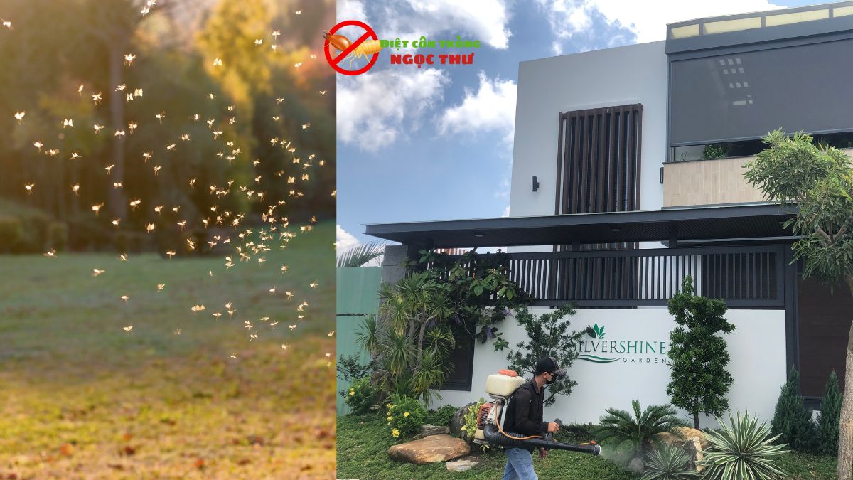 Phun Thuốc Muỗi KCN VSIP 2 - Ngọc Thư 2 Phun thuốc muỗi tại kcn vsip 2