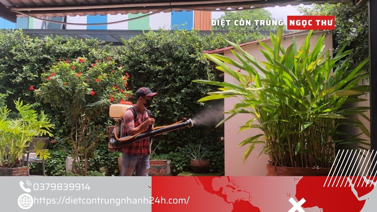 Dịch vụ phun thuốc muỗi tại quận 3