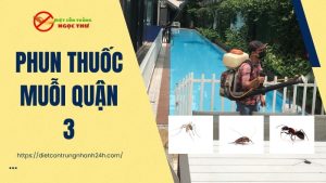Dịch vụ phun thuốc muỗi quận 3