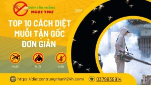 Top 10 cách diệt muỗi tận gốc