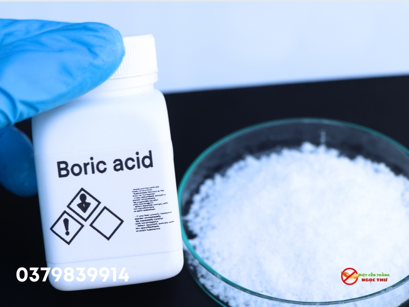 cách đuổi gián trong phòng ngủ bằng cách Trộn axit boric với bột mì và đường để tạo bả.