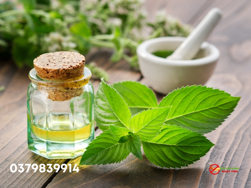 Cách đuổi gián trong phòng ngủ hiệu quả bằng cách sử dụng tinh dầu bạc hà