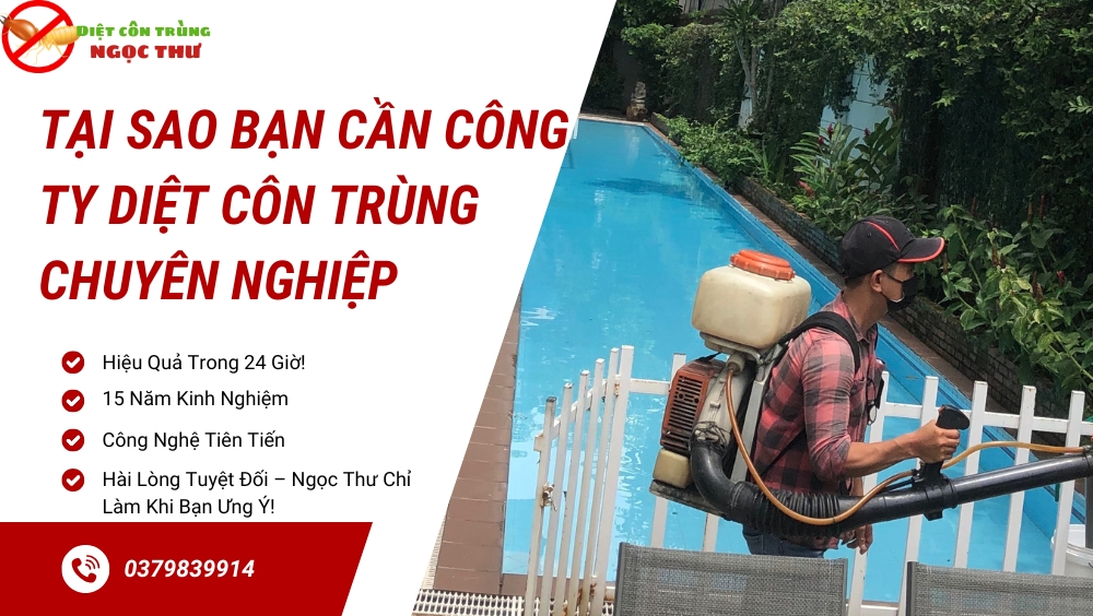 Công ty diệt côn trùng chuyên nghiệp