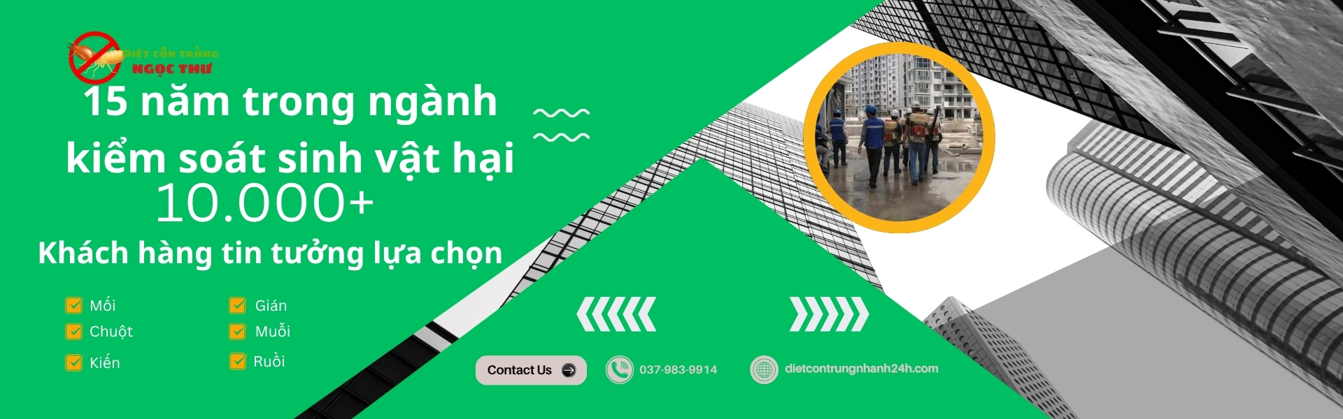 Trang chủ 33 Dịch vụ diệt côn trùng ngọc thư