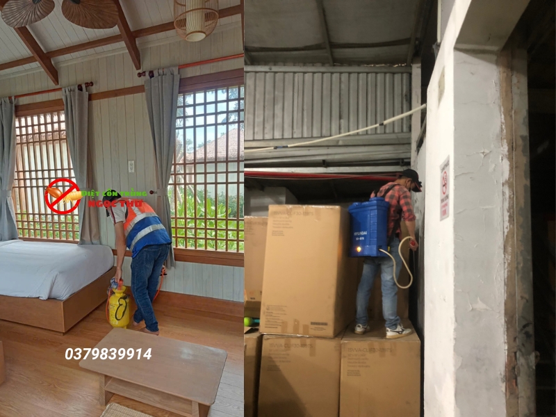 Công ty diệt mối tận gốc ngọc thư