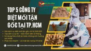 Công ty diệt mối tận gốc tại tphcm